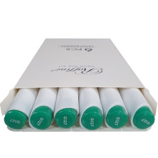 Скетч Маркер двосторонній "Raffine" /7800-6CB/ (G127) Emerald Green (6)