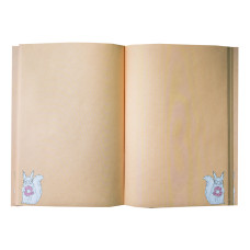 Скетчбук A5/64 "4PROFI" /50254/ orange, ЧИСТІ арк, кол.вн/блок, скл., мат/лам, 80г.
