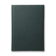 Щоденник ЗВ-43 н/дат "Infolk" зелений 168 арк. == 142х203 (10)