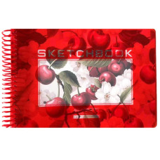 Скетчбук А5/40 "Bourgeois" /N9669/ ЧИСТІ аркуші, пластик обкл., на спіралі ,100г/м2 (1/80)