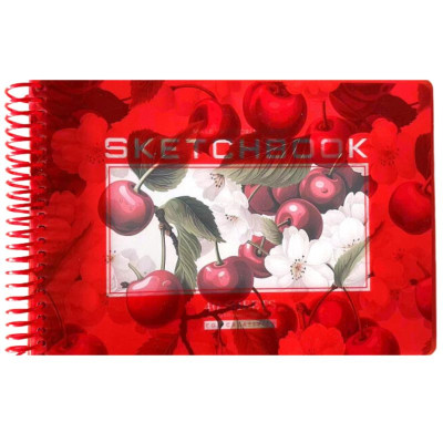 Скетчбук А5/40 "Bourgeois" /N9669/ ЧИСТІ аркуші, пластик обкл., на спіралі ,100г/м2 (1/80)