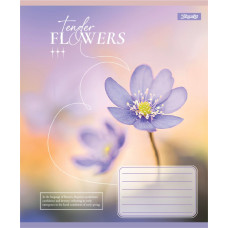 Зошит уч. "1В" 96арк.== /768085/ "Tender Flowers" (5/120)