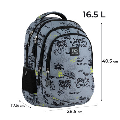 Рюкзак "GoPack" /GO25-162M-4/ Teens 162M-4 (1/10)