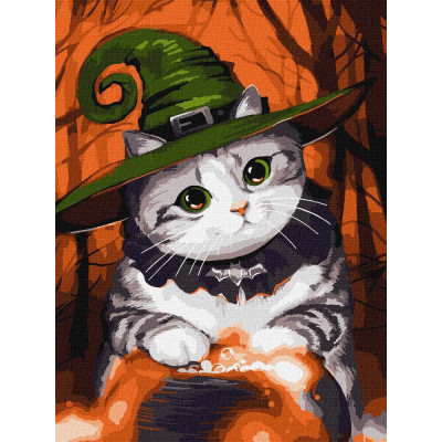 Картина за номерами "Ідейка" /KHO6665/ "Котик-чарівник" 30*40см