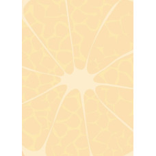 Скетчбук B6/40 "4PROFI" /902651/ ЧИСТІ "Frutti note" orange, кол.вн/бл, термокл, глян/лам, 70г