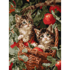 Картина за номерами "Ідейка" /KHO6949/ "Коти у кошику" 30*40см