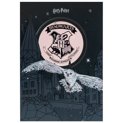 Блокнот А5/50арк. "Kite" /HP25-194-1/ планшет # Harry Potter (1/10)