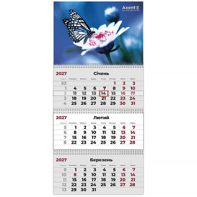 Календар "Axent" кварт. 3 пруж 2027 /8803-27-4-A/ настінний Butterflies 1 (1/20)