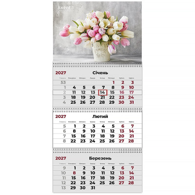Календар "Axent" кварт. 3 пруж 2027 /8803-27-26-A/ настінний Magic Flowers 2 (1/20)