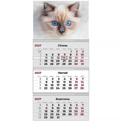 Календар "Axent" кварт. 3 пруж 2027 /8803-27-8-A/ настінний Cats 2 (1/20)