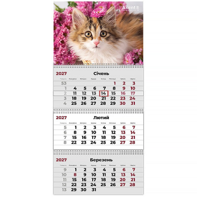 Календар "Axent" кварт. 3 пруж 2027 /8803-27-9-A/ настінний Cats 3 (1/20)