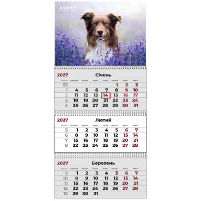 Календар "Axent" кварт. 3 пруж 2027 /8803-27-10-A/ настінний Dogs 1 (1/20)