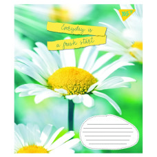 Зошит уч. "1В" 96арк.# /766120/ "Summer flowers" (5/120)