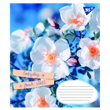 Зошит уч. "1В" 96арк.# /766120/ "Summer flowers" (5/120)