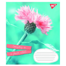 Зошит уч. "1В" 96арк.# /766120/ "Summer flowers" (5/120)