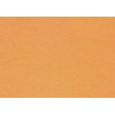 Флексика(фоаміран) "WB" /10522(EVA-008)/ 20*30см, ПОМАРАНЧЕВИЙ, 2мм (20арк/уп) (1/100)