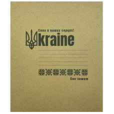 Зошит уч. "Пір'ячко" 12арк.# /ТВ-80/ ФОНОВА  газетний папір 45 г/м2 (25/600)