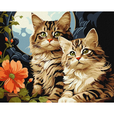 Картина за номерами "Ідейка" /KHO6574/ "Чарівні котики" 40*50см