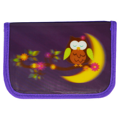 Пенал 3D "SMILE" /01 G/ "Сова" 1 від.,2 відв.,без напов. 19,5*13*3,5см  (1/72)