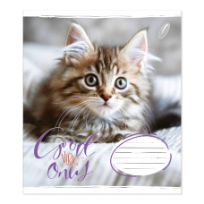 Зошит уч. "Пір'ячко" 12арк.# /ТВ-307/  №0114 Гарний настрiй офсетний папір 50-53 г/м2 (25/600)