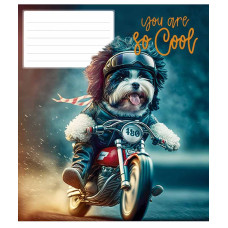 Зошит уч. "Школярик" 12арк.== /3241L/ "You are so cool" ВД-лак (нейт) (30/300)