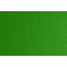 Папір для дизайну А3 (29,7*42см) "Fabriano" Elle Erre №11 verde, 220г/м2, зелений, дві текстури (10)