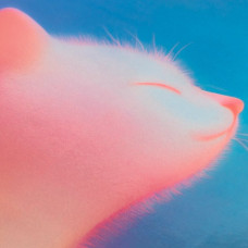 Щоденник шкільний "Yes" /911741/ інтегральний Gradient Cat  (1/20)