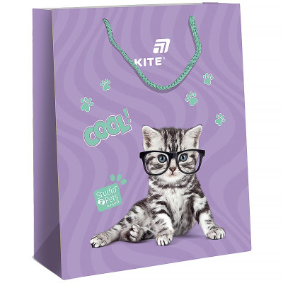 Пакет подарунковий "Kite" /SP26-266/ 26х32см, Studio Pets (5)