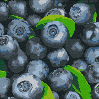 Картина за номерами "Ідейка" /KHO5650/ "Соковита лохина"25*25см