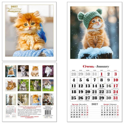 Календар квадрат 2027 /342/ "Кошенята" на скобі, 220*240 (1/25)