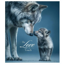 Зошит уч. "Star" 96арк.# /3665K/ "The Love of touch" УФ-лак (нейт) (5/60)