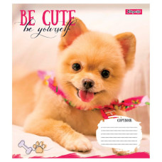 Зошит уч. "1В" 12арк.== /766941/ "Be cute" (25/500)