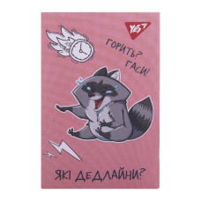 Блокнот А7/48 # склейка "YES" /152107/ "Smart raccoon" (1/40/320)