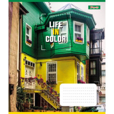 Зошит уч. "1В" 48арк.== /767380/ "Life in colors" (10/200)