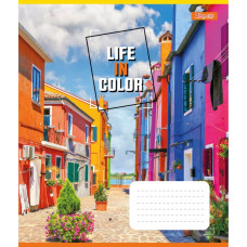 Зошит уч. "1В" 48арк.== /767380/ "Life in colors" (10/200)