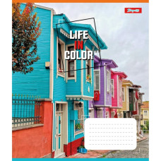 Зошит уч. "1В" 48арк.== /767380/ "Life in colors" (10/200)