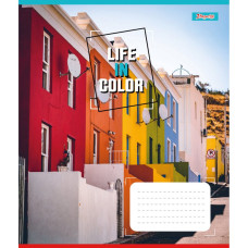 Зошит уч. "1В" 48арк.== /767380/ "Life in colors" (10/200)