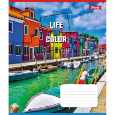 Зошит уч. "1В" 48арк.== /767380/ "Life in colors" (10/200)
