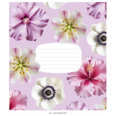 Зошит уч. "Star" 24арк.# /3632K/ ВД-лак (дівчинка) (25/200)