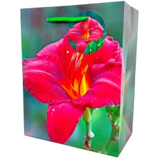 Пакет подарунковий "Bourgeois" 18х23х10см /GB-24135/ (10)