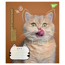 Зошит уч. "YES" 24арк.== /766656/ "Adventurous cats" (20/320)