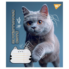 Зошит уч. "YES" 24арк.== /766656/ "Adventurous cats" (20/320)