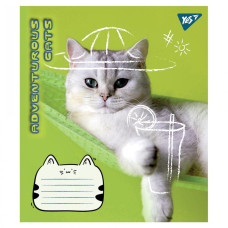 Зошит уч. "YES" 24арк.== /766656/ "Adventurous cats" (20/320)