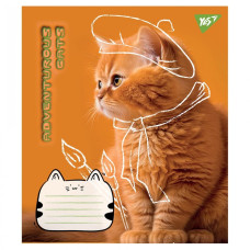 Зошит уч. "YES" 24арк.== /766656/ "Adventurous cats" (20/320)