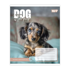 Зошит уч. "YES" 12арк.== /768732/ "Dog too pup" (25/500)
