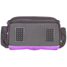 Ранець-рюкзак "CLASS" /2513C/ SchoolCase 2 відділення, 39х28х21см, "Butterfly"