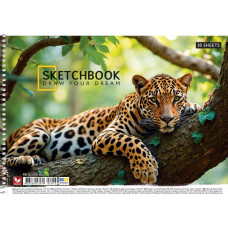 Альбом для малювання "Школярик" А4/30арк./PB-SC-030-8043/ спіраль, 120г/м2, УФ-лак (9/63)