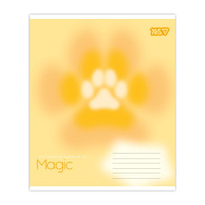 Зошит уч. "YES" 18арк.== /768663/ "Magic spark" (25/400)