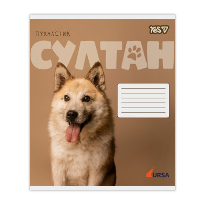 Зошит уч. "YES" 18арк.== /768955/ "Ursa" (25/400)
