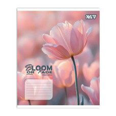 Зошит уч. "YES" 24арк.== /768875/ "Bloom or fade" (20/320)